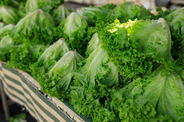 Dîner végétarien au restaurant : Brisez les stéréotypes pour une expérience savoureuse